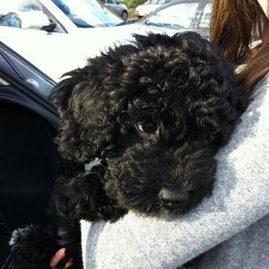 Meet your Posher, Katherine